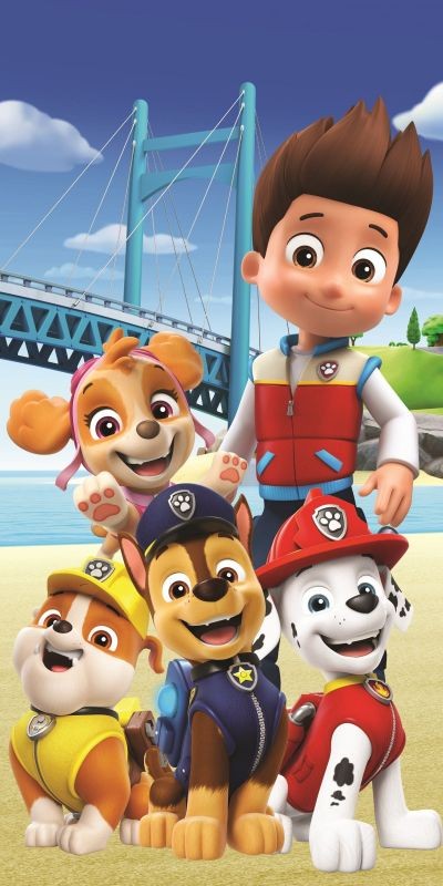 Osuška Paw Patrol PP457 Bridge 70/140